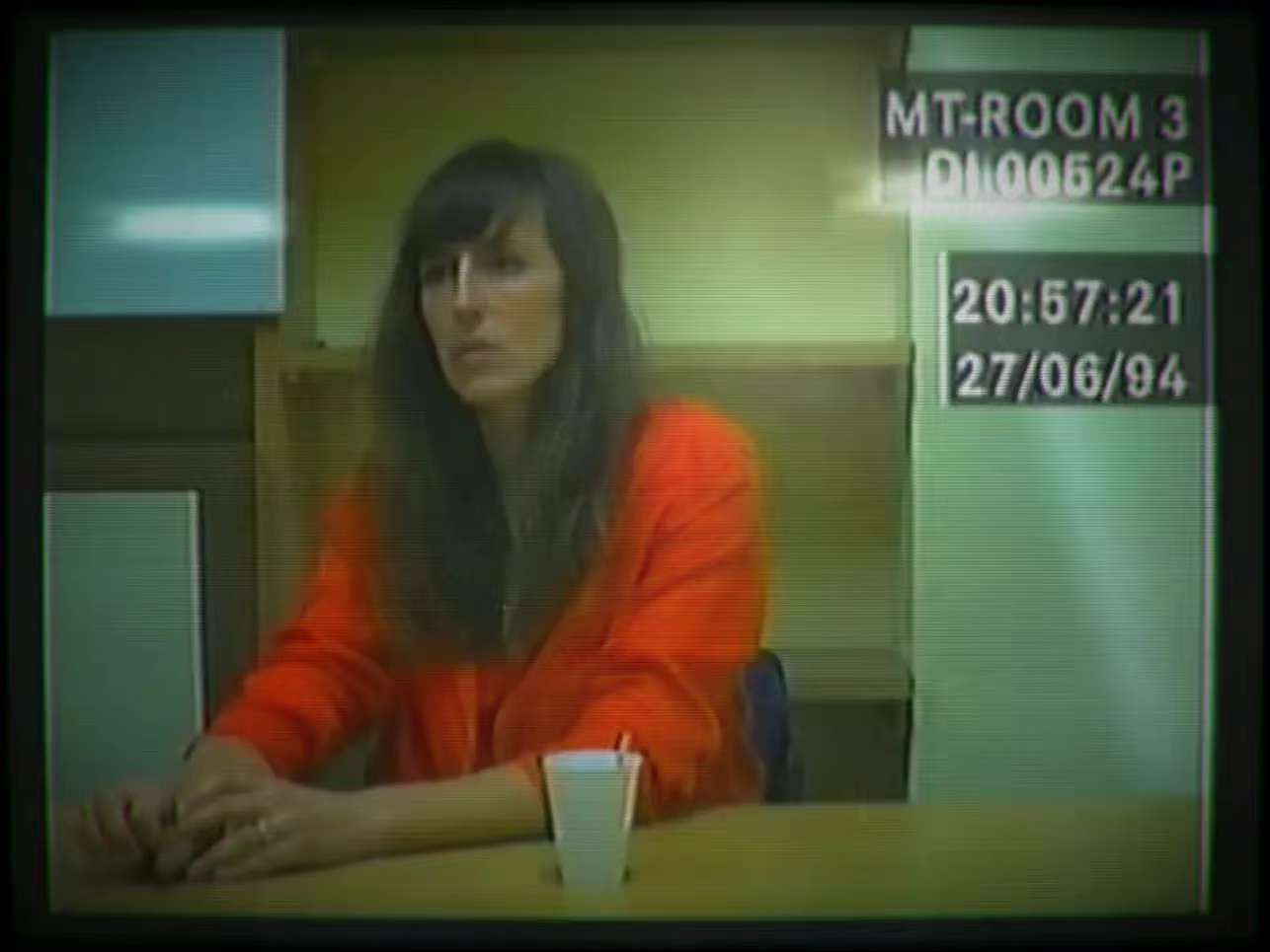 【英文版】她的故事Her Story【冒险解谜】